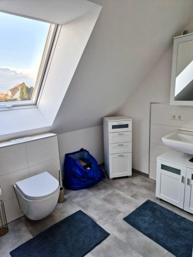 Modernes Badezimmer mit geräumiger Dusche und Tageslicht