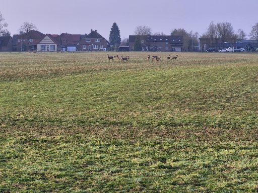 Mandelsloh Natur
